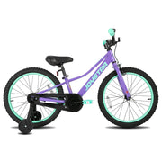 20 Inch Kids Mountain Bike with Training Wheels and Handbrake for 7-12 Years Old Boys and Girls