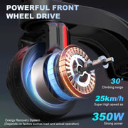 Foldable 350W 25KM/H 7.5AH 36V E Scooter