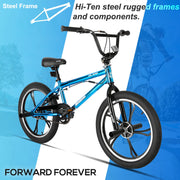 20 Inch Kids BMX Bike for Boys Girls Ages 5-12, 360 Degree Rotor Freestyle, 4 Pegs Single Speed