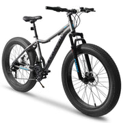 26 Inch 21 Speed Mountain Bike, 4-Inch Wide Fat Tire, Steel Frame, Disc Brake