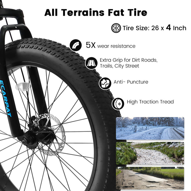 26 Inch 21 Speed Mountain Bike, 4-Inch Wide Fat Tire, Steel Frame, Disc Brake