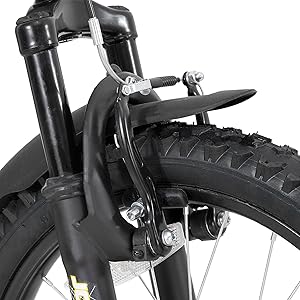 20 Inch Kid's Mountain Bike for Ages 5-13 Years Old, Dual-Suspension